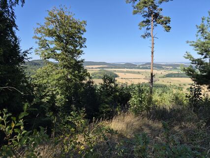 Foto von Wollomator entlang der Tour