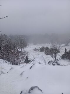 Photo de Mário plesnik le long du parcours