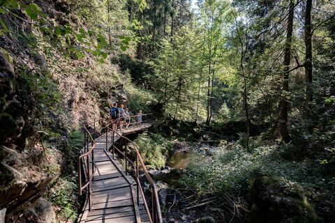 Wanderweg in der Ravennaschlucht