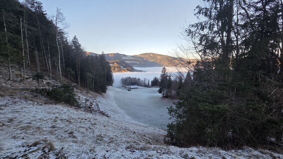 Photo de V Feurstein le long du parcours