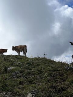 Foto von Patrick Gensinger 1 entlang der Tour