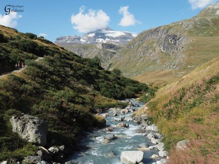 A068 Alpen