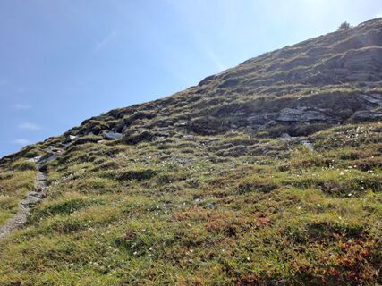 Fotografia z Alexanderaigner na trase