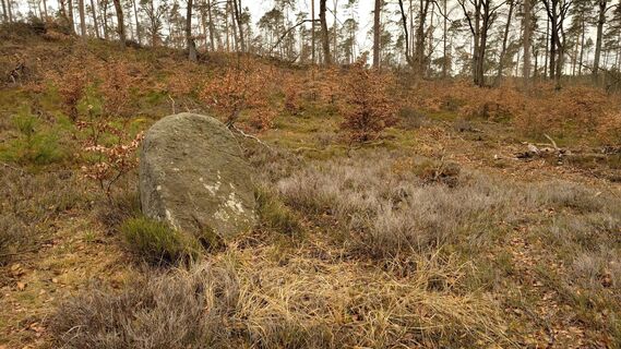 Fotografie z Noreen Harz na trase