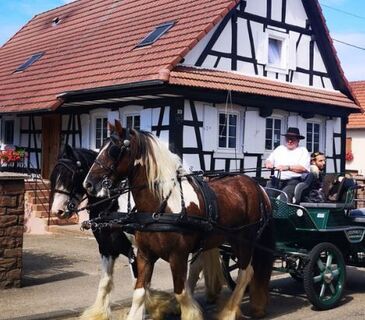 Reiterrundweg der Nordvogesen