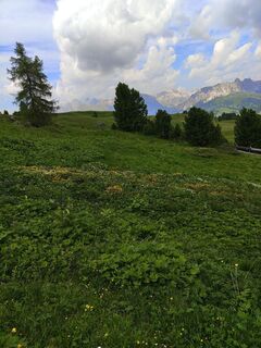 Photo de UlliDob le long du parcours