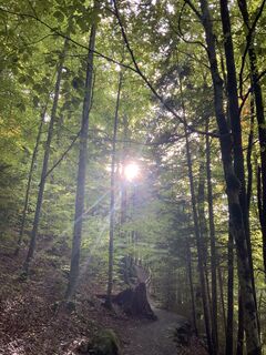 Photo de KAMartin le long du parcours