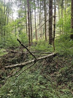 Fotografia z Robert Hofer na trase