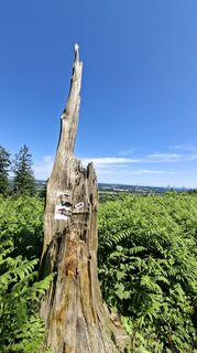 Foto von Torsten Sledz entlang der Tour