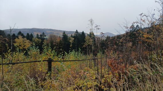 Photo de Fantom RoK le long du parcours