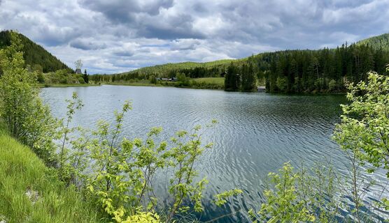 Foto von Kellner Heidi entlang der Tour