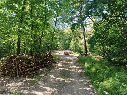 Zdjęcie z Dominik Séllei wzdłuż trasy