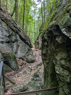 Zdjęcie z Martina Braunstein-Lamatsch wzdłuż trasy