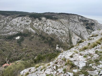 Photo de algra le long du parcours