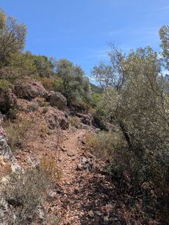 Photo de BettiKreibiehl le long du parcours