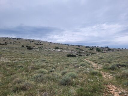 Foto de schenkeli a lo largo del recorrido