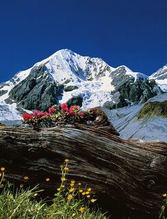 Hintergrathütte 2661m