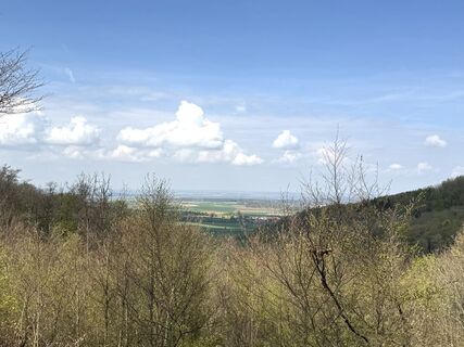 Zdjęcie z Norbert Herbig wzdłuż trasy