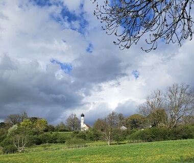 Zdjęcie z garrincha wzdłuż trasy