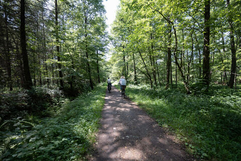 Tierpark Schloss Raesfeld