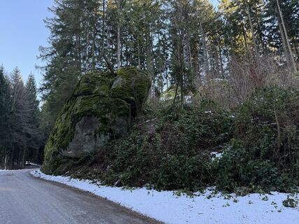 Foto von Florian Leopold Stonig entlang der Tour