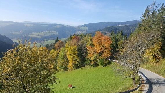 Gasthaus_Eckwirt_Graden_Aussicht