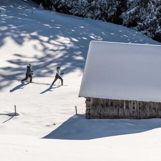 Schneeschuhwandern Bad Kohlgrub