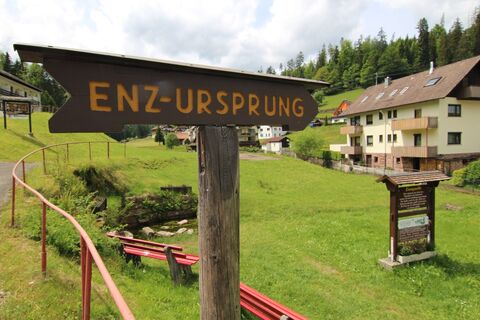 Enz-Ursprung in Gompelscheuer