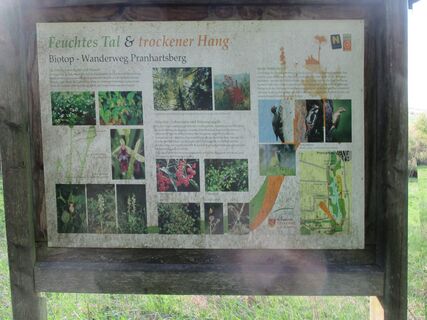 INFO 4