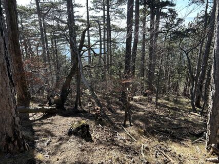 Fotó a Raphaela Kirschnick honlapról a túra során