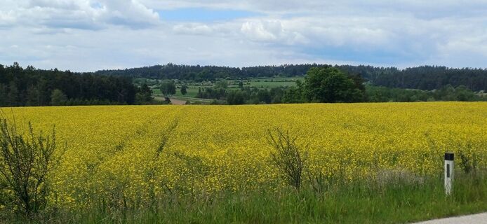 Foto von Ewald Reil 1 entlang der Tour