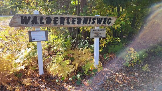 Photo de Ilse Sellnar le long du parcours