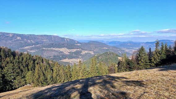 Фото с сайта Regina Fleischmann во время экскурсии