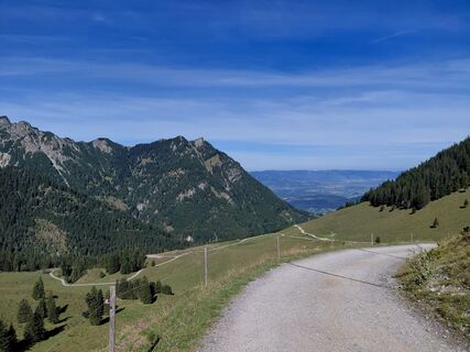 Foto de Dominik Séllei a lo largo del recorrido