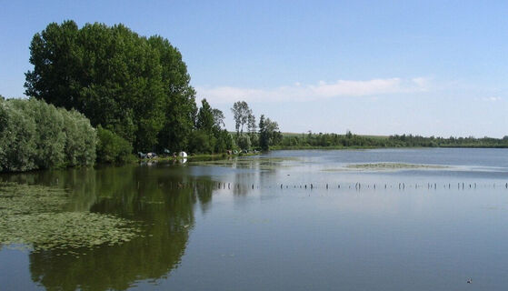 Nesle_CanalNordetsomme