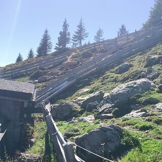 Foto von Peter Springer 1 entlang der Tour