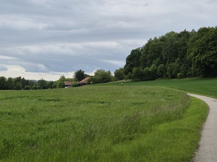 Fotografia z Alexandra Schmuck na trase