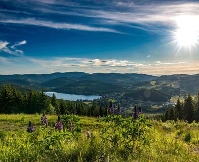 Blick vom Hochfirst