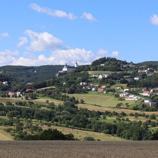 Blick auf Forchtenstein v. Wiesen