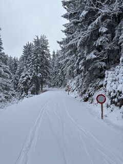 Fotografia z Heinz Sperl na trase