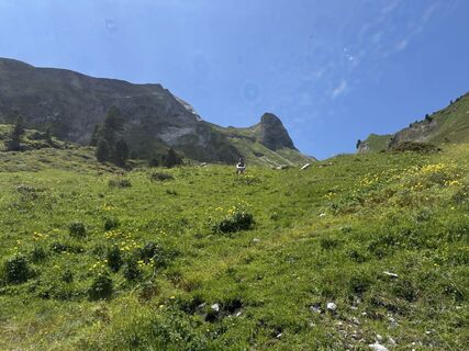 Foto von Peter Hutter 1 entlang der Tour