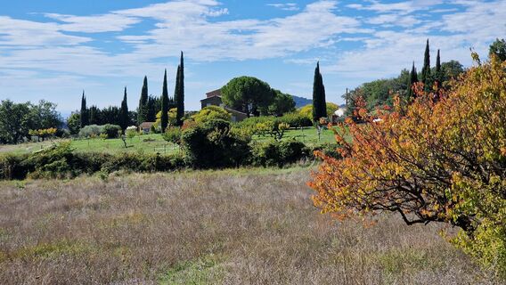 Fotografija s spletne strani Fabrizi Mellano na poti