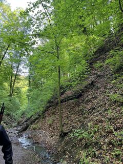 Foto von Lili Bártfai entlang der Tour