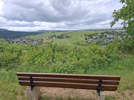 Foto von nordbergschnecke entlang der Tour