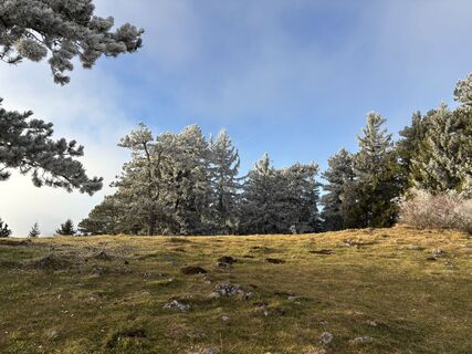 Photo de Georgiamartin0815 le long du parcours