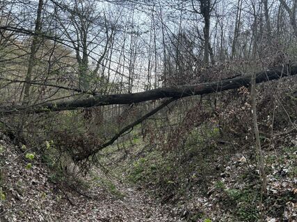 Foto von Reti Alicia entlang der Tour