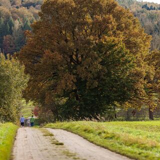Von Güntersen nach Eberhausen