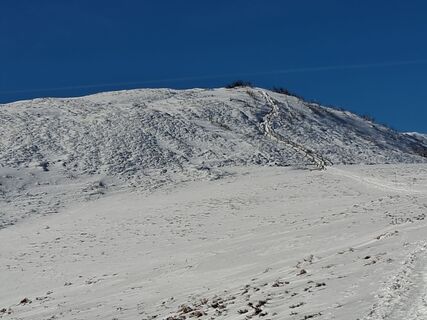 Foto de Jan Wojciechowski 1 a lo largo del recorrido