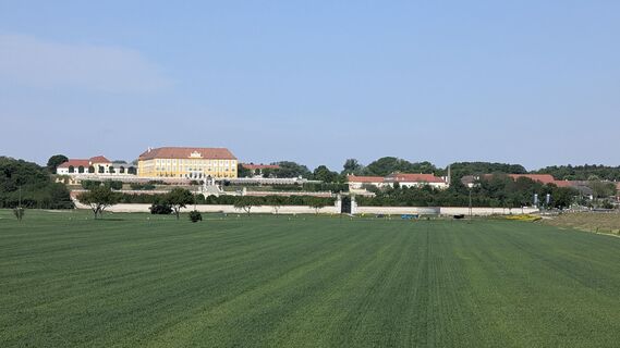 Foto de Jele Hannes a lo largo del recorrido