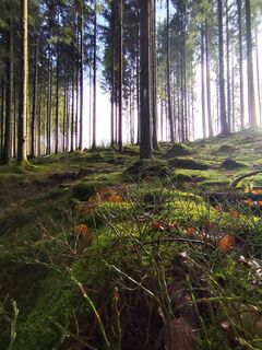 Photo de treger83 le long du parcours